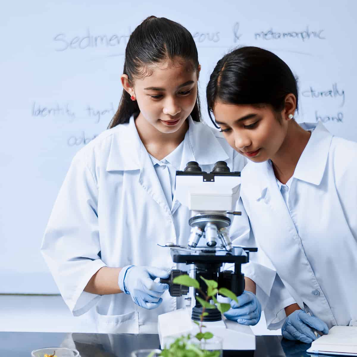 What Is the Approach ahead for Plant Biology Educating?