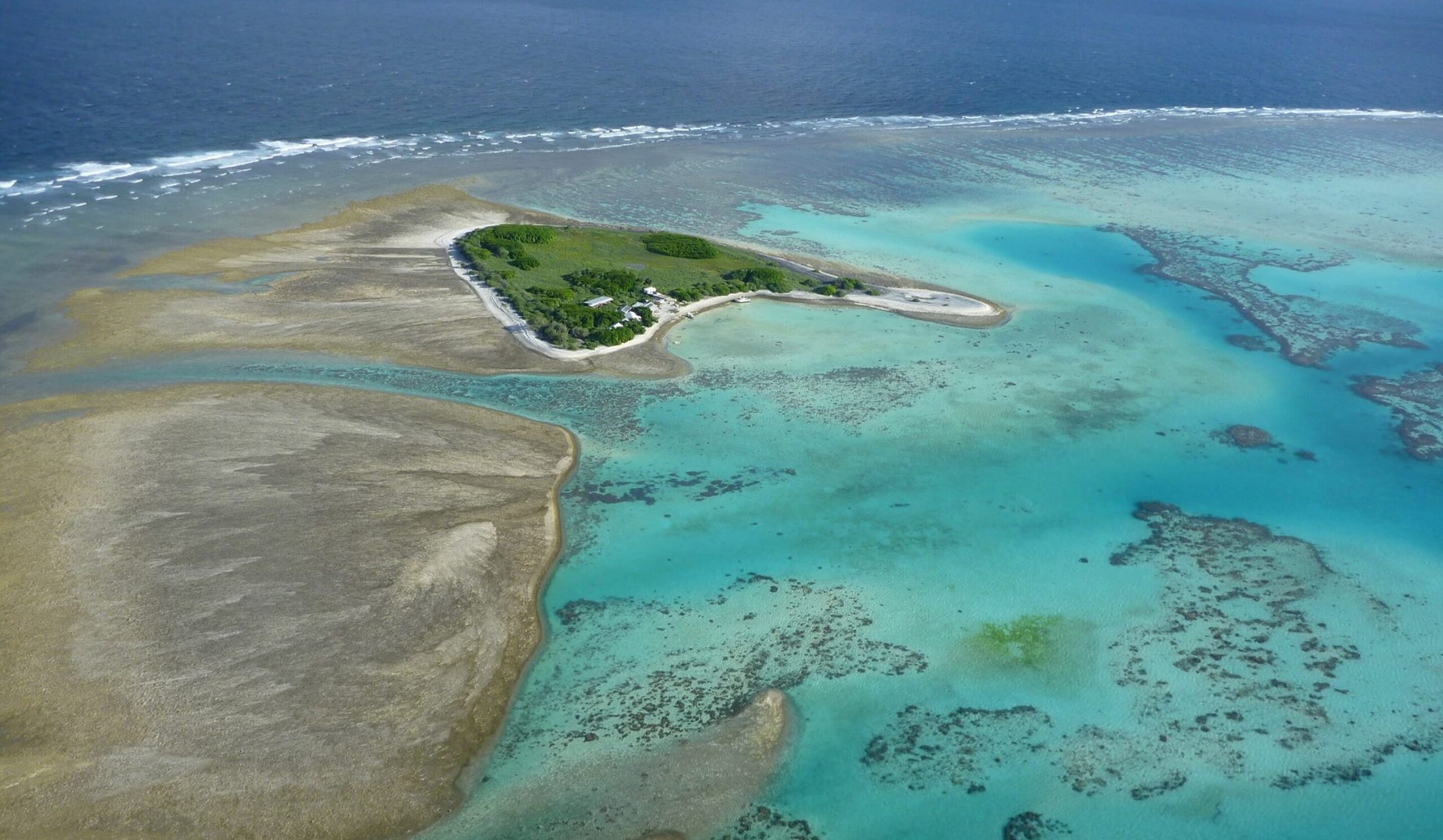 Coral bleaching on Good Barrier Reef reaches ‘catastrophic’ ranges