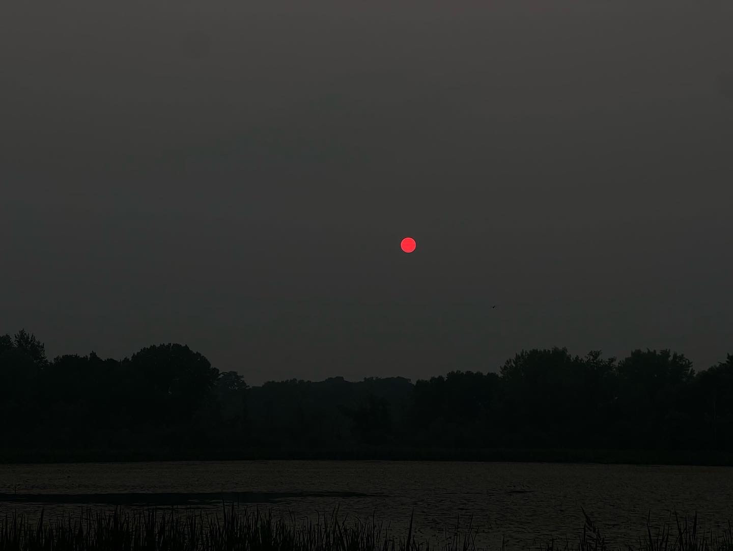 The Science Behind The Purple Solar Throughout Wildfires