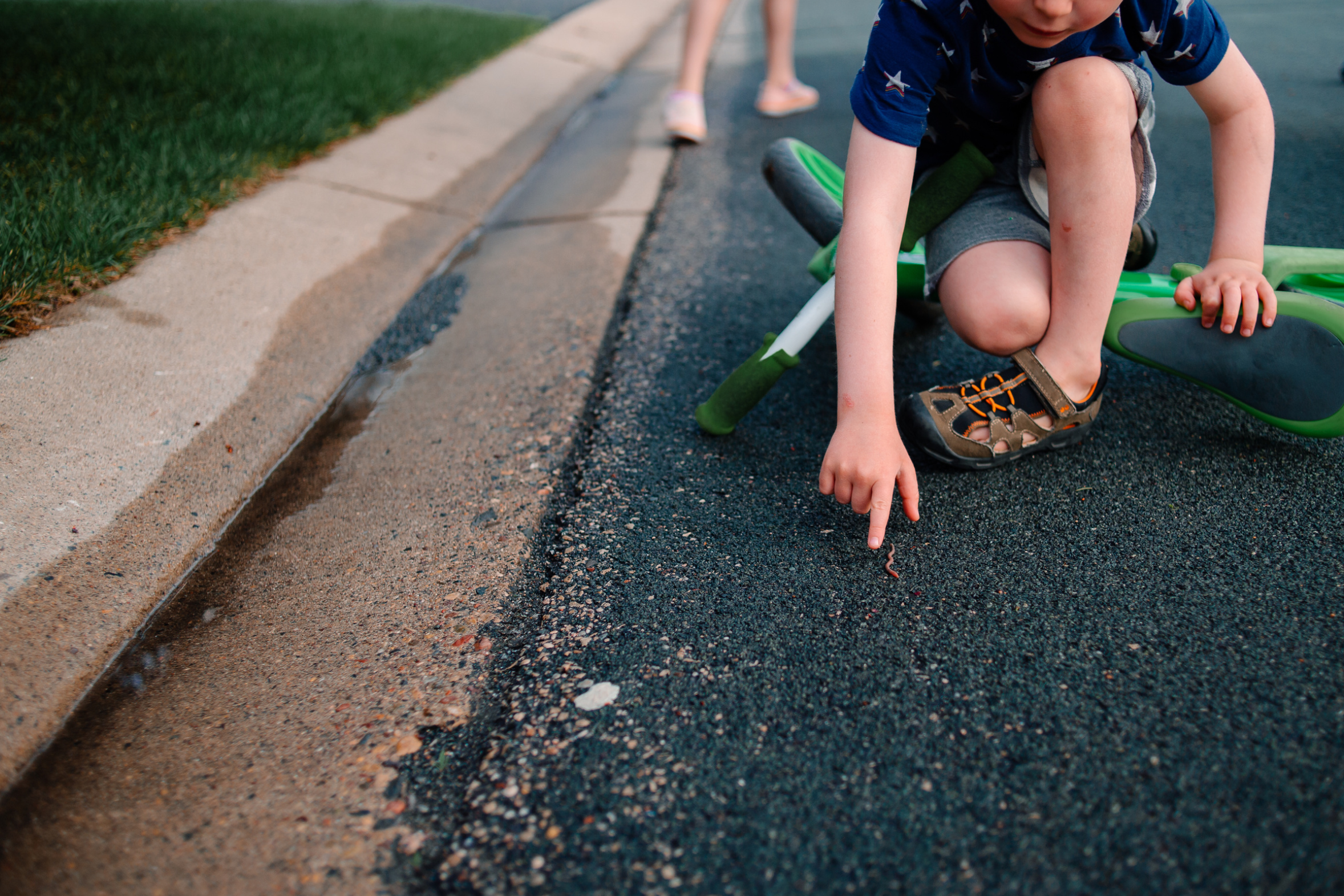 Why Do Worms Come Out When It Rains?